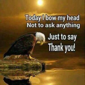 Meet your Posher, Adrian